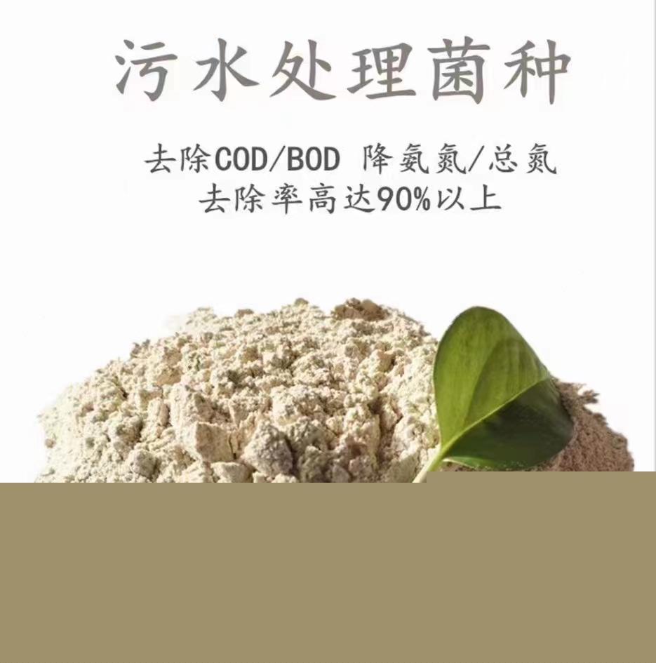 重金屬降解菌